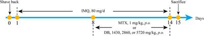 A Traditional Chinese Medicine Formula Danshen Baibixiao Ameliorates Imiquimod-Induced Psoriasis-Like Inflammation in Mice